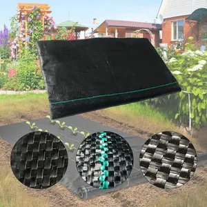 Rete di copertura del terreno verde nera in plastica PP per serra
