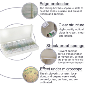 Outils d'enseignement des sciences biologiques <span class=keywords><strong>au</strong></span> lycée : Histologie, ensemble de 12 lamelles préparées pour microscopes, cellules sanguines, observation de spécimens - Product Image 4