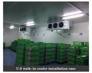 Small Cold Room, Galvanized Anti Rust Frame, Less Heat Loss, Mini Walin Freezer for Beef Chicken in Catering Kitchens - Product Image 6