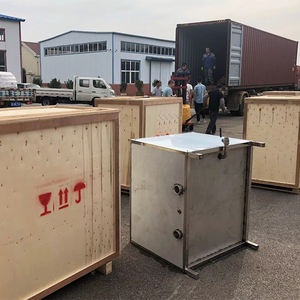 Separador Automático Industrial SM para Núcleos de Dátil y Jujube Deshidratados, 1.5kW, Capacidad 100-200kg/h - Product Image 6