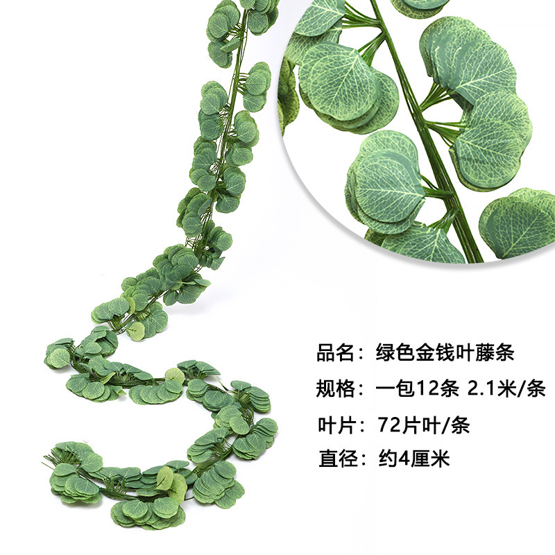 72 Eucalyptus Strips - Light Green (12 strips)