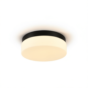 Lámpara de Techo LED Moderna de 12 Pulgadas, Montaje Empotrado, Hierro Negro, Cubierta de Plástico Acrílico, 2700K Blanco Cálido, para Cocina y Dormitorio - Product Image 1