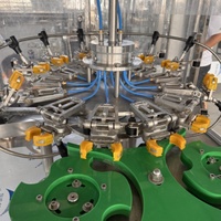 Ligne complète de production et d'embouteillage de boissons alcoolisées (vin, vodka, whisky) pour petites bouteilles d'eau – Machine de remplissage