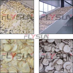 Secador de malla continua para jengibre, línea de producción de lavado, corte y secado, máquina secadora de jengibre - Product Image 4