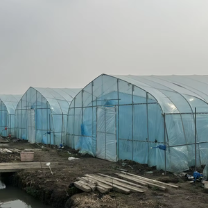 शीर्ष बिक्री अनुकूलित प्लास्टिक सुरंग ग्रीनहाउस कारखाने मूल्य लागत प्रभावी सुरंग ग्रीनहाउस बेचने के लिए सर्वोत्तम गुणवत्ता - Product Image 2