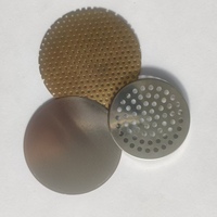 Disk Mesh Presisi Berukir dari Baja Tahan Karat 304, Layar Filter Logam Anti Debu untuk Filtrasi Industri