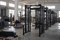 Mairuida MRD-1225 - Máquina de entrenamiento funcional de alta resistencia con cable cruzado, gimnasio multifuncional para entrenamiento de fuerza en casa/gimnasio