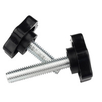 Classe de qualité 4.8 8.8 10.9 12.9 Acier galvanisé Placage de zinc blanc Vis à tête Torx en plastique noir