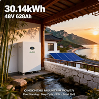 Baterai Surya 48V 628Ah 30kWh untuk Sistem Panel Surya Tipe Berdiri Lantai dengan Roda