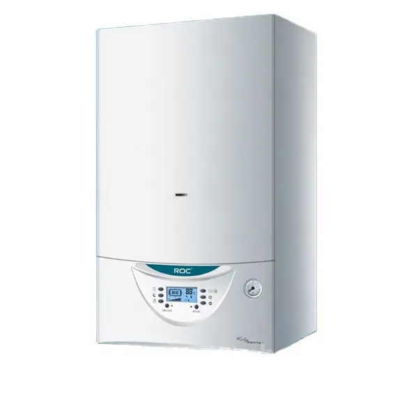 High Efficient Wall mounted Natural Gas Tankless Hot Water Heater Instant Propane Gas Boiler for Household