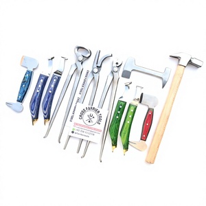 Kit Profesional de Herramientas para el Cuidado de Pezuñas de Caballos, 11 Piezas, Alicates para Clavos, 3 Pulidores, 4 Cuchillas de Doble Filo - Product Image 1