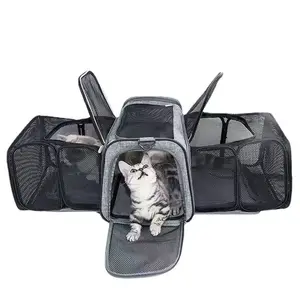 Vente en gros directe d'usine Designer Emballage pliant Transparent Pet Carrier Dog Walking Bag Extensible Pet Carrier