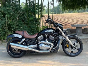 <span class=keywords><strong>Harley</strong></span>-Davidson Night Rod Special 1250cc, <span class=keywords><strong>moteur</strong></span> V-Twin Revolution refroidi par eau, freinage ABS Brembo, idéal pour la ville - Product Image 2