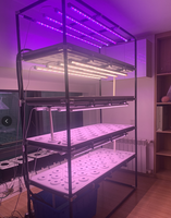 Système d'agriculture verticale intelligent pour l'intérieur, contrôlable par application, kit de culture hydroponique automatique pour légumes-feuilles