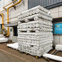 Tissu Jacquard Brocart Teint en Fil 100% Polyester Anti-Boulochage Anti-Étrangement Résistant à l'Abrasion 100GSM pour Jupes Mi-Longues – Vente Directe Usine