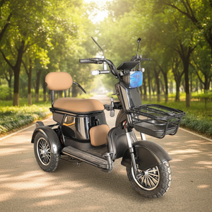 Tricycle électrique ouvert certifié DOT pour 2 passagers, 60V 500W, acier |   Portée de 30 à 50 km |   Idéal pour le tourisme et les transports hôteliers - Product Image 2