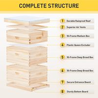 Colmena de Abejas Langstroth de 3 Niveles, Caja de Madera para Apicultores, 2 Niveles Profundos y 1 Mediano