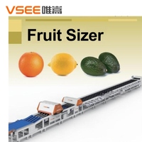 Automatische avocado-verwerkingslijn met was- en fruitoppervlakte-sorteerfuncties
