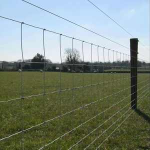 <span class=keywords><strong>Malla</strong></span> de Alambre <span class=keywords><strong>para</strong></span> Cercas, <span class=keywords><strong>para</strong></span> Ganado, Caballos, Ovejas, Cabras, Cercas <span class=keywords><strong>para</strong></span> Pastizales, Alambre de Hierro Galvanizado Eléctrico - Product Image 5