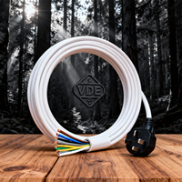 Kabel Daya Terlindung Anti Gangguan untuk Pusat Data dan Fasilitas Komunikasi di Jerman Kabel Daya Rvv Rvvp