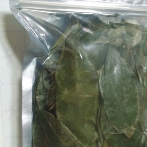 Graviola seca de alta calidad/guanábana precio competitivo producto agrícola - Product Image 1