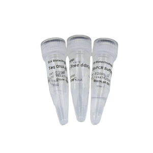 Taq DNA 중합 효소, 연구용 하이 퀄리티 - Product Image 1