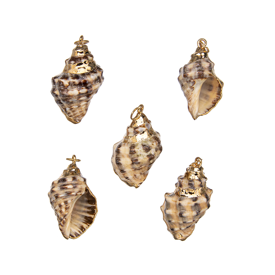 Haa Shells Conch Sankha Locket Gold - Natural Shell Pendant Jewelry