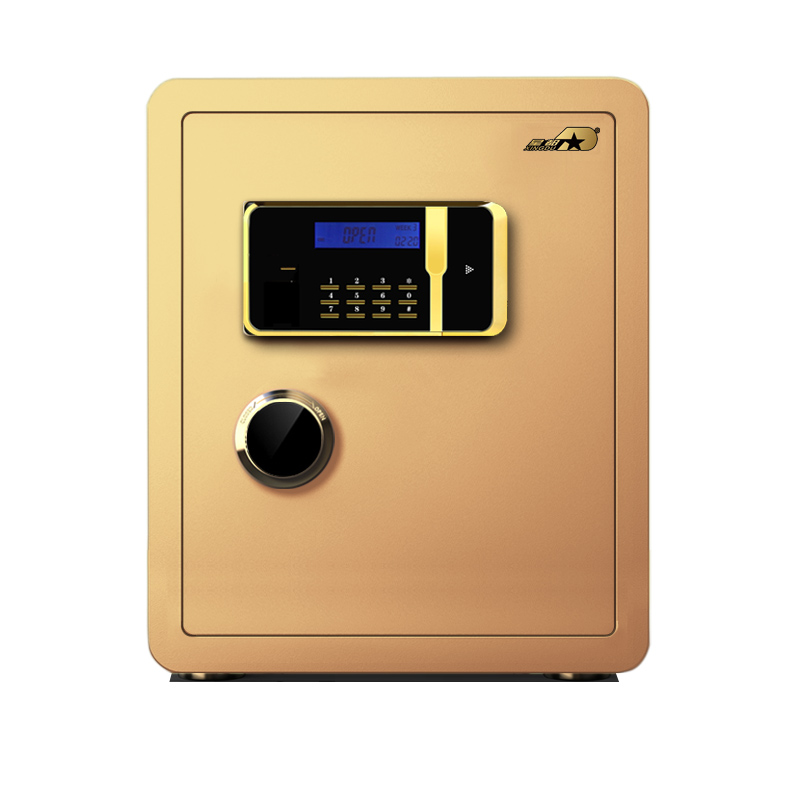 Kaer Medium Gold Security Safe Box Biometric Fireproof Safe with Digital Keypad and Key Lock