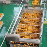 Ligne de traitement complète personnalisée des agrumes pour la fabrication de jus concentré, purée, écorces et huile