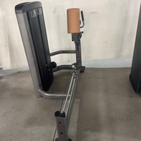 Équipement professionnel de musculation pour salle de sport : Machine de fitness pour entraînement des fessiers, Hip Thrust et Extension des jambes debout