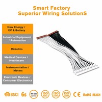 Kompakter IoT-Kabelbaum mit RS232-Kabelanschlussplatine für Computer- und Motorradanwendungen, Nylon-isolierte Industriekommunikation