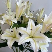 Künstliche Blumen Tischdekoration 3D-Druck Lilien Hochzeitsarrangement Kunstblumen-Lilien Party Event Deko Blumenarrangement