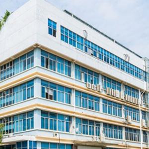 Ropa Deportiva Personalizada para Hombre, Ropa de Gimnasio 100% Algodón Ecológico, Camiseta Promocional, Rendimiento, Color Neón, para Correr 100 - Product Image 6