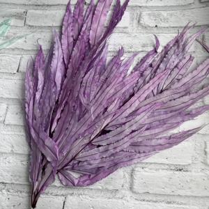 Vente en gros fleurs séchées grande feuille de <span class=keywords><strong>fougère</strong></span> conservée pour feuilles de <span class=keywords><strong>fougère</strong></span> milliers de plumes - Product Image 6