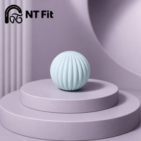 Balle lestée en silicone de qualité supérieure, noyau solide, 1,5 kg, pour le yoga, le Pilates et l'entraînement de force, poids libre
