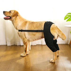 Envolturas de articulación de corvejón de apoyo trasero canino protege el soporte de pierna trasera para perros - Product Image 1