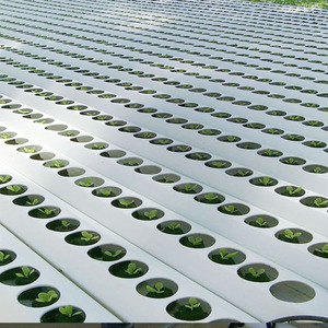 <span class=keywords><strong>Casa</strong></span> jardines torre Vertical jardín hidropónico - Product Image 2