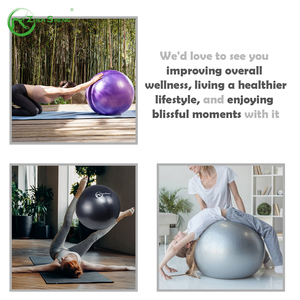 Zhensheng Thiết Kế Mới Tập Thể Dục Tập Thể Dục PVC 65Cm Pilates Yoga Bóng Chống-Nổ Tập Thể Dục Bóng Thụy Sĩ Yoga Bóng Với Bơm Nhanh Chóng - Product Image 5