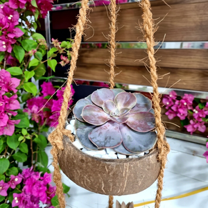 Support de Pot et Décoration de Jardin Suspendue en Coque de Noix de Coco Vietnamienne Écologique Style Ferme, Taille et Design Personnalisables, Vente en Gros - Product Image 1