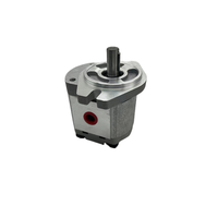 Pompe à engrenages Cbw -F306-CFB Cbw-F304-Alp Cbw-F314-Cfhl Cbw-F314-Cfp Cbw-F310-Clp Utilisée dans les machines à scier