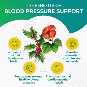 New Arrival Organic Blood Pressure Plant Extracts Supports Circulatory Health 180 Capsules Blood Pressure Supportments - Product Image 4