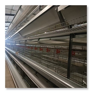 <span class=keywords><strong>Jaula</strong></span> <span class=keywords><strong>de</strong></span> capa <span class=keywords><strong>de</strong></span> pollo con batería tipo H <span class=keywords><strong>de</strong></span> 4 niveles, nuevas máquinas para poner <span class=keywords><strong>huevos</strong></span> galvanizadas en caliente para granjas avícolas, máquinas automatizadas para <span class=keywords><strong>gallinas</strong></span> ponedoras - Product Image 5