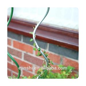 <span class=keywords><strong>Piquets</strong></span> de <span class=keywords><strong>tomates</strong></span> <span class=keywords><strong>en</strong></span> <span class=keywords><strong>bois</strong></span> <span class=keywords><strong>en</strong></span> acier galvanisé tige <span class=keywords><strong>en</strong></span> spirale de tomate <span class=keywords><strong>en</strong></span> acier pour plant de tomate - Product Image 6