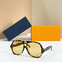 Lunettes de soleil surdimensionnées personnalisées à double pont, grandes montures carrées pour hommes, style rétro pour la vie quotidienne