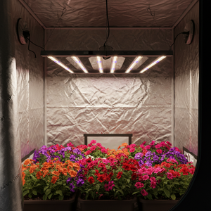 Lámpara de Cultivo LED Moderna Far Red Dragon Fruit con Espectro Verde Azul Mejorado para Iluminación de Paredes de Cultivo 720W - Product Image 1