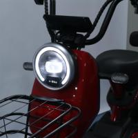 Fournisseur de la Chine Vélo électrique Vélo électrique de ville électrique bon marché CKD Vélo électrique E-bike pour adultes