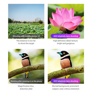 APEXEL Universal Optical 60X Teléfono celular Zoom Teleobjetivo Lente con abrazadera de teléfono profesional y trípode de cámara extensible - Product Image 6