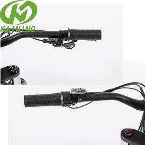 Motor eléctrico para esquí, bicicleta de nieve, tecnología sofisticada, precio barato - Product Image 5