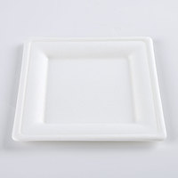 Boîte à lunch en papier de bagasse de canne à sucre jetable biodégradable de 8 pouces avec insert en bambou maintenant disponible sur le marché des EAU