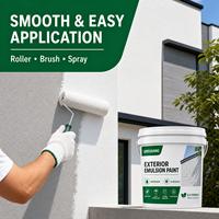 Peinture murale extérieure au latex TC pour façades de bâtiments et rénovation de maisons Couleurs et emballages personnalisés